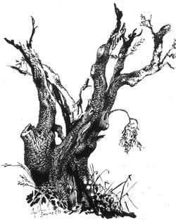 Olivier Junod, artiste figuratif